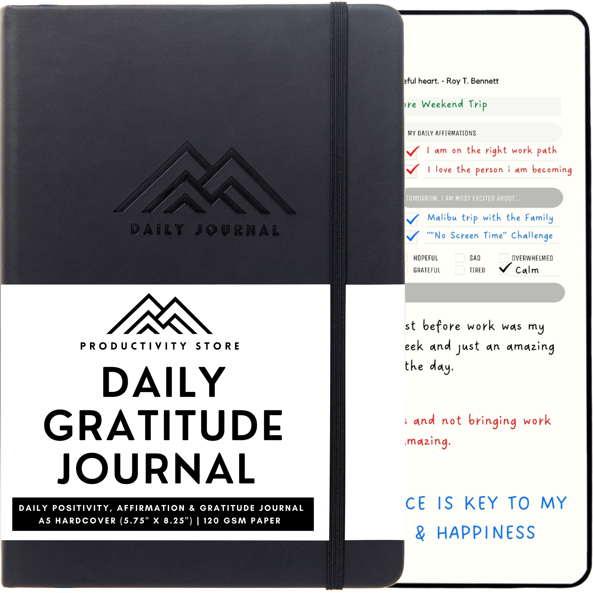 Gratitude Journaling: A Daily Practice for Inner Transformation and Growth