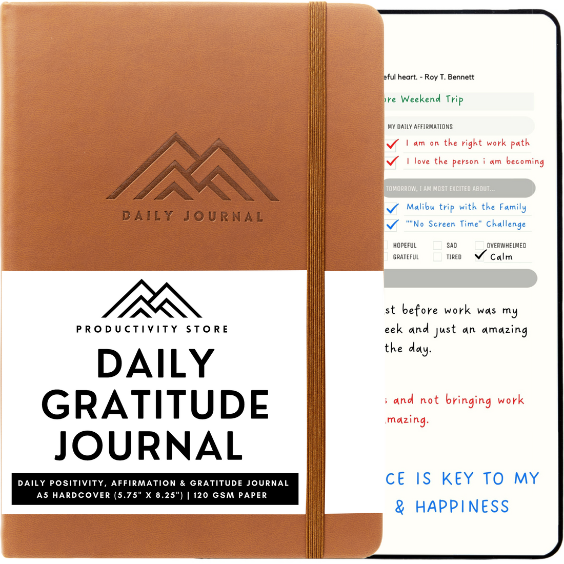 Discover Everything You Need To Know About Gratitude Journals at Productivity Store