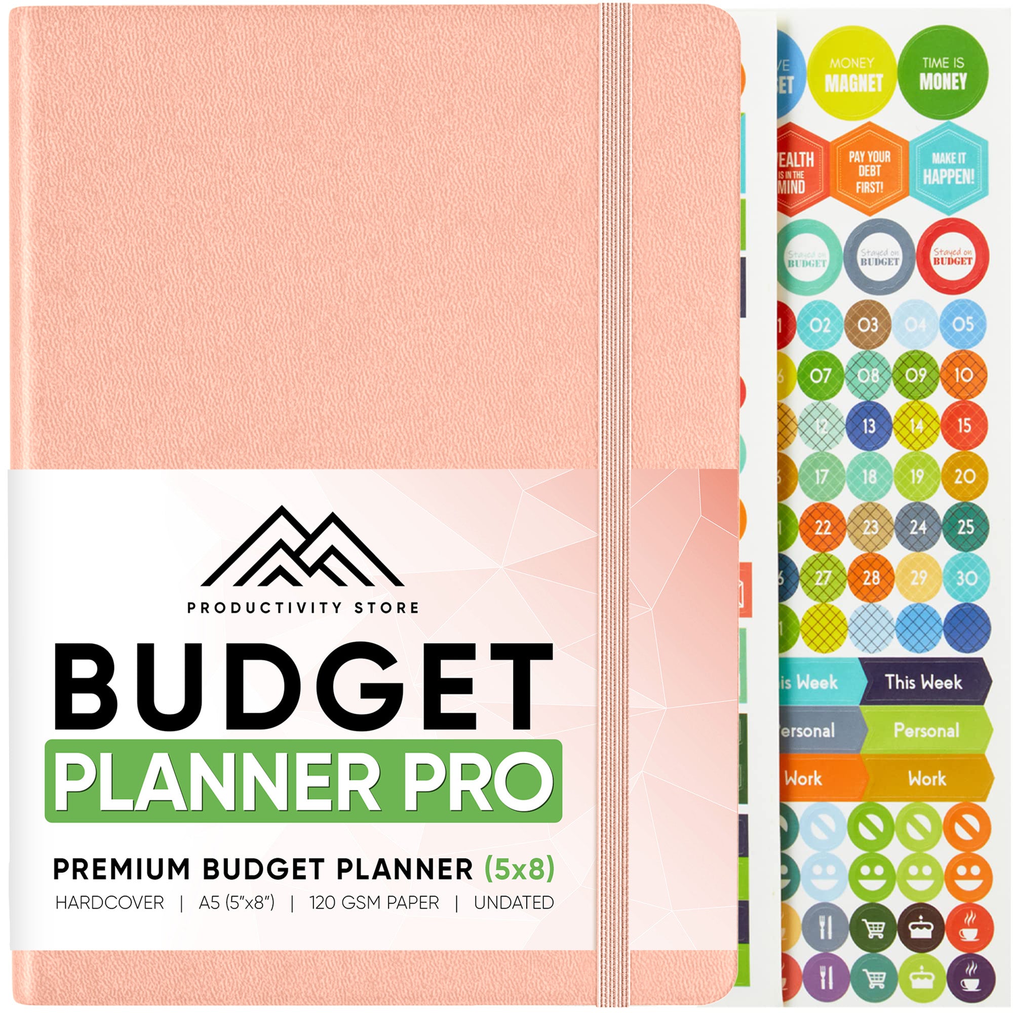 Budget Planner & Budget Book Color: Blue
